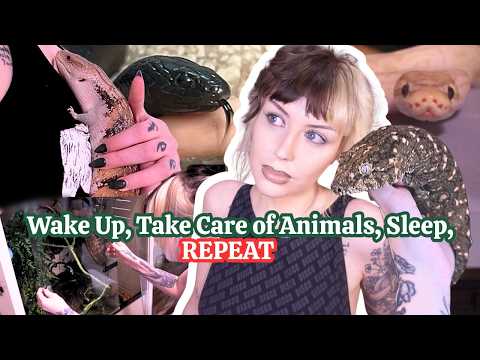 My Daily Routine Living With Over 25 Animals