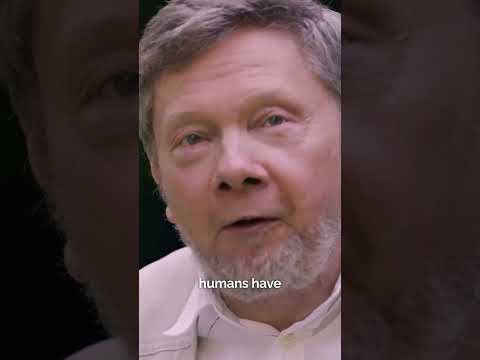 Why Dogs Free You From Yourself