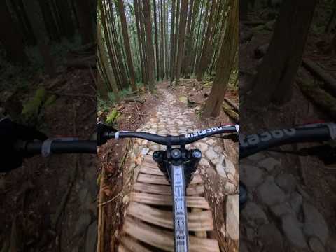 Downhill Bikes are Insane!