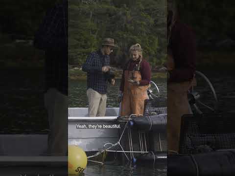 Paid content for Visit Maine.