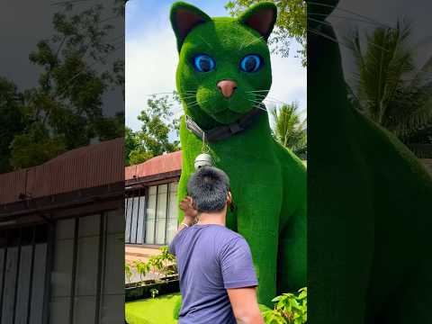 This cat is really alive!????#funny #cats #catvideos #tiktok #social #usafunny #catlovers #funpage