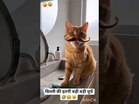 बिल्ली की इतनी बड़ी बड़ी मूचें..???????????? | funny cats #funny #shorts #comedy #funnycats #trending #viral