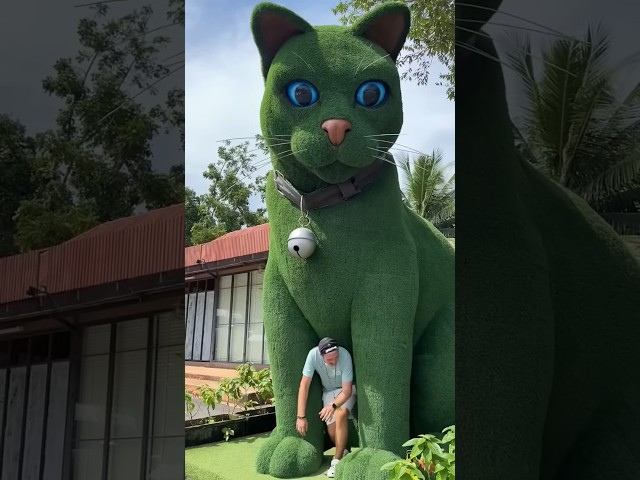 This cat is really alive! ???????????? #funny #cats #catvideos #tiktok #social #usafunny #catlovers #funpage