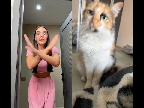 Que nojo Sonya. # #cat #cats #funny #catvideos #catshorts #catlife #catvideo #catmemes