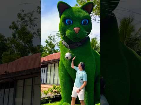 This cat is actually alive! ????#funny #cats #catvideos #tiktok #social #usafunny #catlovers #funpage ?