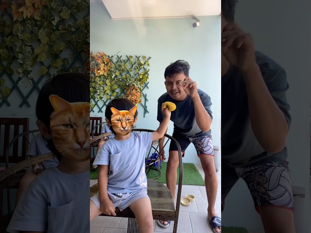 This cat is really alive! ???? #funny #cats #catvideos #tiktok #social #usafunny #catlovers #funpage