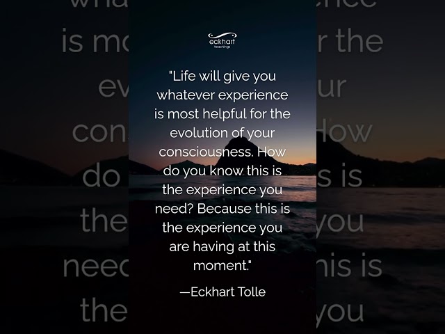 "Life will give you whatever experience is most helpful for the evolution of your consciousness."