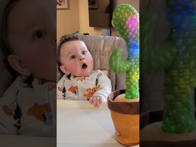 Baby vs Dancing Cactus ???????? #shorts
