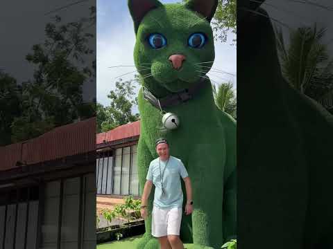 This cat is really alive! ???? #funny #cats #catvideos #tiktok #social #usafunny #catlovers #funpage