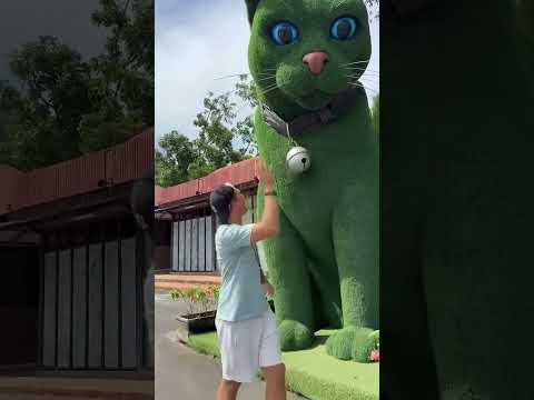 This cat is really alive! ???? #funny #cats #catvideos #tiktok #social #usafunny #catlovers #funpage