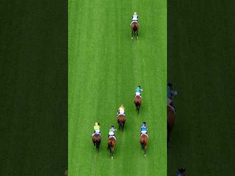 How GOOD is this? KA YING RISING smashes his Sha Tin track record, as seen from the air! ????