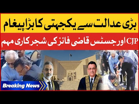 Chief Justice Umar Ata Bandial and Justice Qazi Faez Isa Tree Plantation in Supreme Court | BOL News