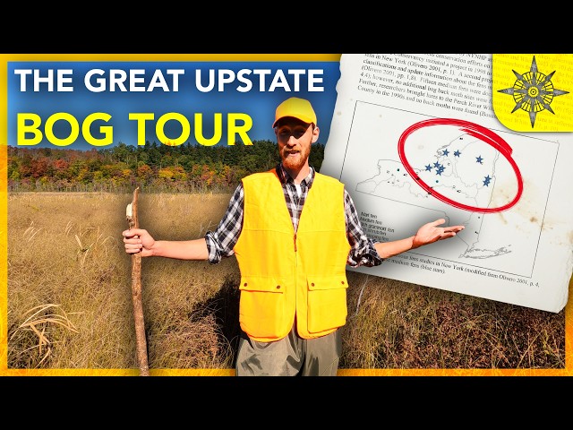 The Great Upstate Bog Tour!
