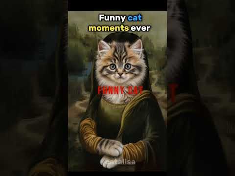 Funny cat moments ever ???????? #shorts #trending #funny