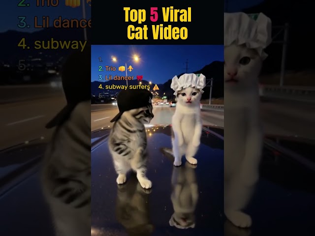 ???? Watch Till the End! ????????#FunnyCats #CatShorts #FunnyCat #CatVideos #CatLovers #Trending #OOFIndex