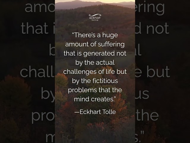 There’s a huge amount of suffering that is generated not by the actual challenges of life...