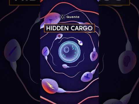 Sperm’s Secret Messages: Beyond DNA