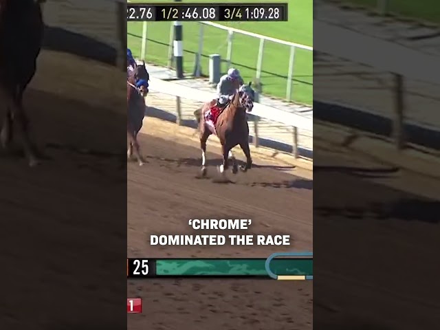 One for any 'Chromies' out there... ????CALIFORNIA CHROME's G1 Goodwood