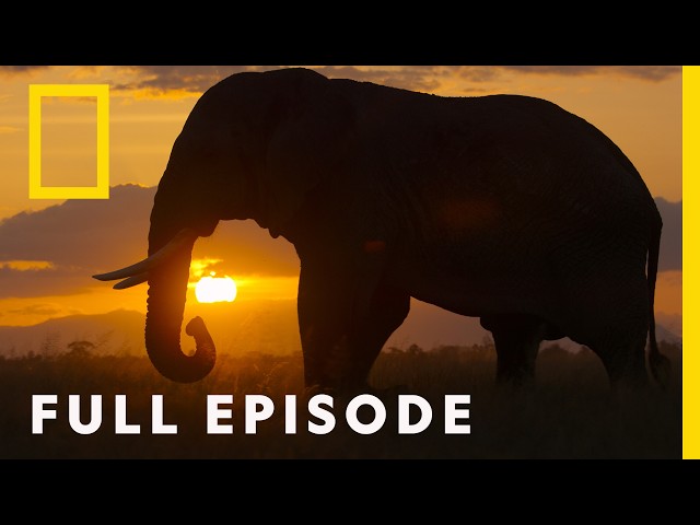 The Future of Africa (Full Episode) | Africa Earth’s Wild Home | National Geographic
