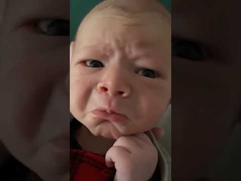 Try Not to Laugh   Baby and Cute Chaos Moment Chaos #2 #shorts #cutebaby #funnybabyvideo