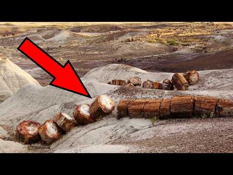 25 Most Incredible Archaeological Finds