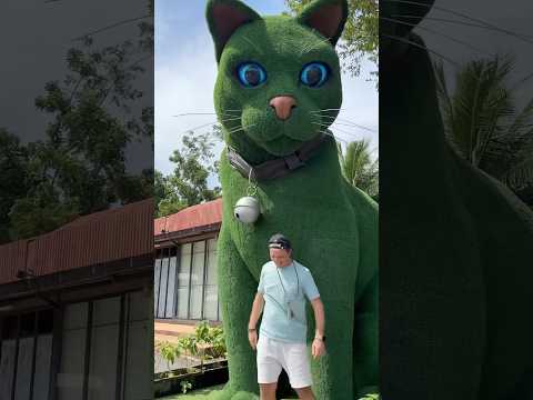 This cat is really alive!???? #funny #cats #catvideos #tiktok #social #usafunny #catlovers #funpage