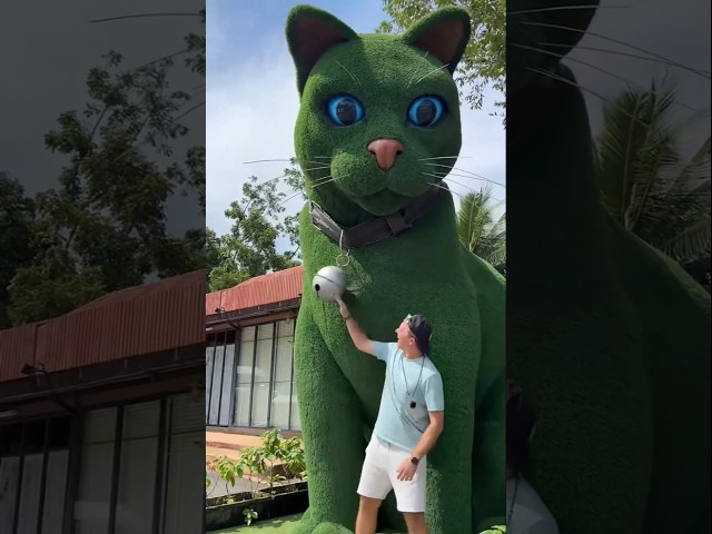 This cat is really alive! ???? #funny #cats #catvideos #tiktok  #social #usafunny #catlovers #funpage
