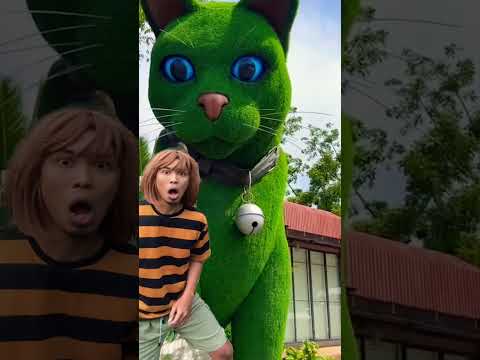 This cat is really alive! ???? #funny #cats #catvideos #tiktok #social #usafunny #catlovers #funpage