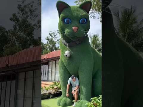 This cat is really alive!????#funny #cats #catvideos #tiktok #social #usafunny #catlovers #funpage