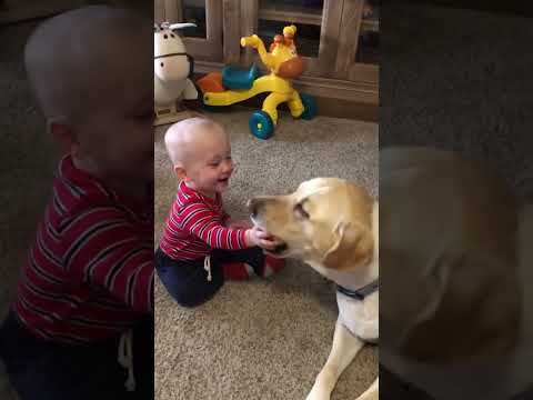 Hilarious Baby Make Your Day - Funny baby videos #short #cutebaby #funnybaby