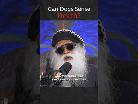 Dogs Can Sense Death | Sadhguru
