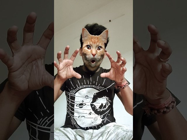 This cat is really alive! #funny #cats#catvideos#tiktok #social #usafunny #catlovers #funpage