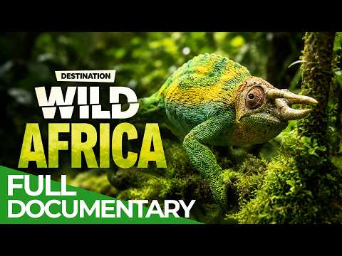 Destination Wild: Rwanda - Heart of Africa | Free Documentary Nature