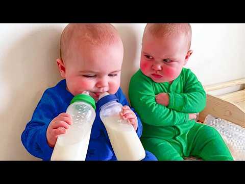 Try Not To Laugh  Funny Cute Baby ???? The Tiny Reaction Nobody Expected | Funny babies and pets