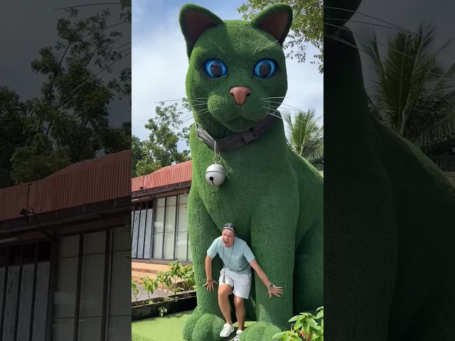 This cat is really alive! ???? #funny #cats #catvideos #tiktok  #social #usafunny #catlovers #funpage