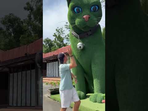 This cat is really alive! ???? #funny #cats #catvideos  #social #usafunny #catlovers