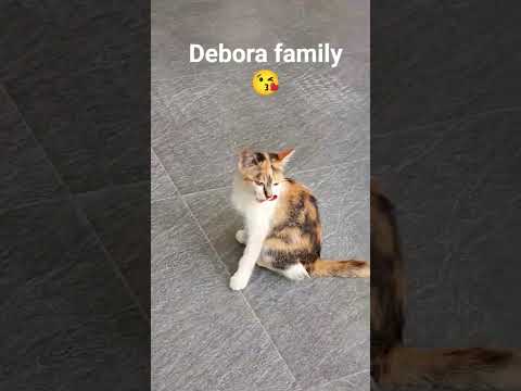Debora family. Good evening 