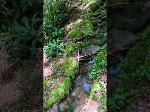 Some more accidental vertical footage