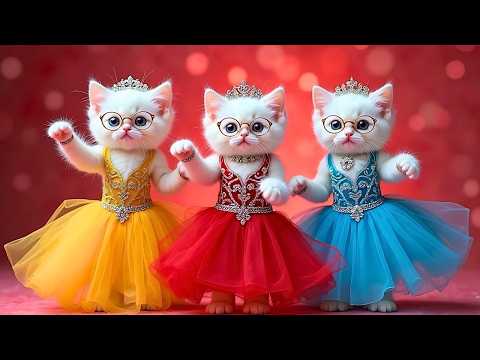 बिल्ली डांस | Cutest Cat videos funny dance????????Dance Videos for cats #funny #dancingcat #cat #cute