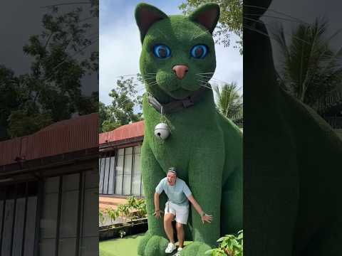 This cat is really alive!#funny #cats #catvideos #tiktok #social#usafunny#catlovers#funpage