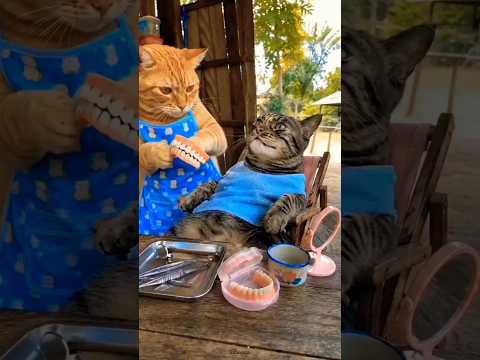 cartoon acche se laga ???????? #funny #comedy #reels #cat