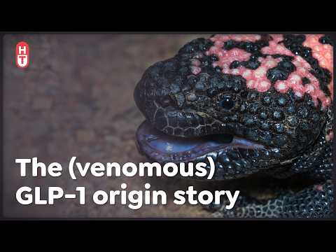 Gila Monster Venom and Blockbuster Drugs