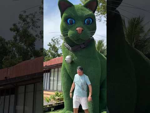 This cat is really alive!#funny #cats #catvideos#tiktok #social #usafunny#catlovers????????#funpage