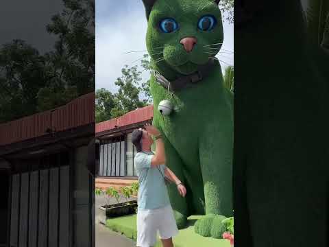 This cat is really alive!????#funny #cats #catvideos #tiktok #social #usafunny #catlovers #funpage