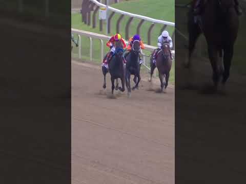 Look at her go! EXPLORA Roars in the G1 Test Stakes!