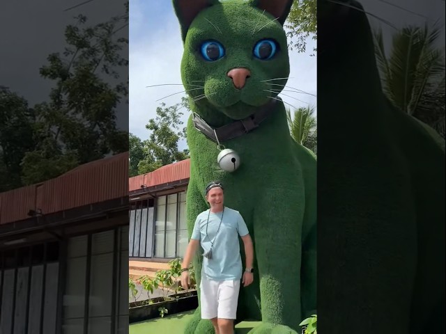 This cat is really alive! ???? #funny #cats #catvideos #tiktok  #social #usafunny #catlovers #funpage