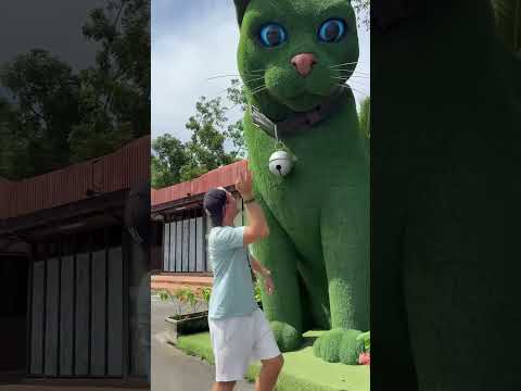 This cat is really alive!????#funny #cats#catvideos #tiktok #social #usafunny#catlovers#funpage