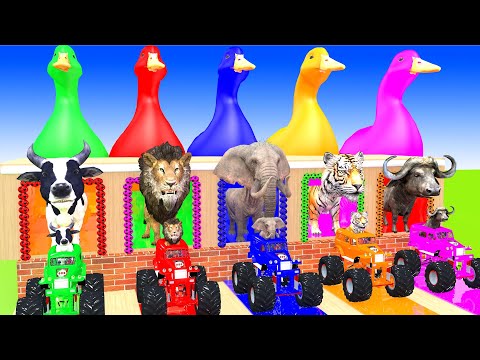 5 Giant Duck Cartoon,Tiger,Cow,Zebra,Chicken,Dog,Cat Wild Animals Crossing Fountain 2023