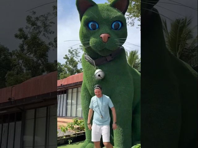 This cat is really alive! ???? #funny #cats #catvideos #tiktok  #social #usafunny #catlovers #funpage