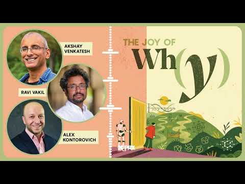 What Is Math For in the Age of AI? - Live from ICM 2026 | PODCAST: The Joy of Why
